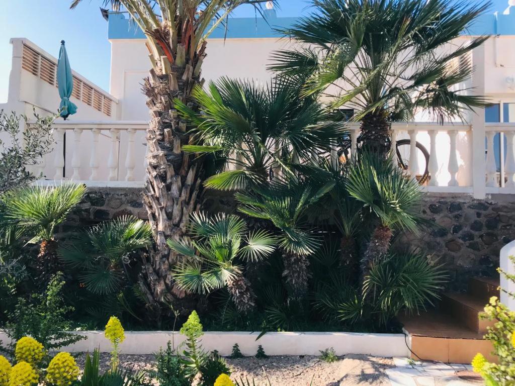 Bungalows & Estudios Los Escullos Almeria Luaran gambar